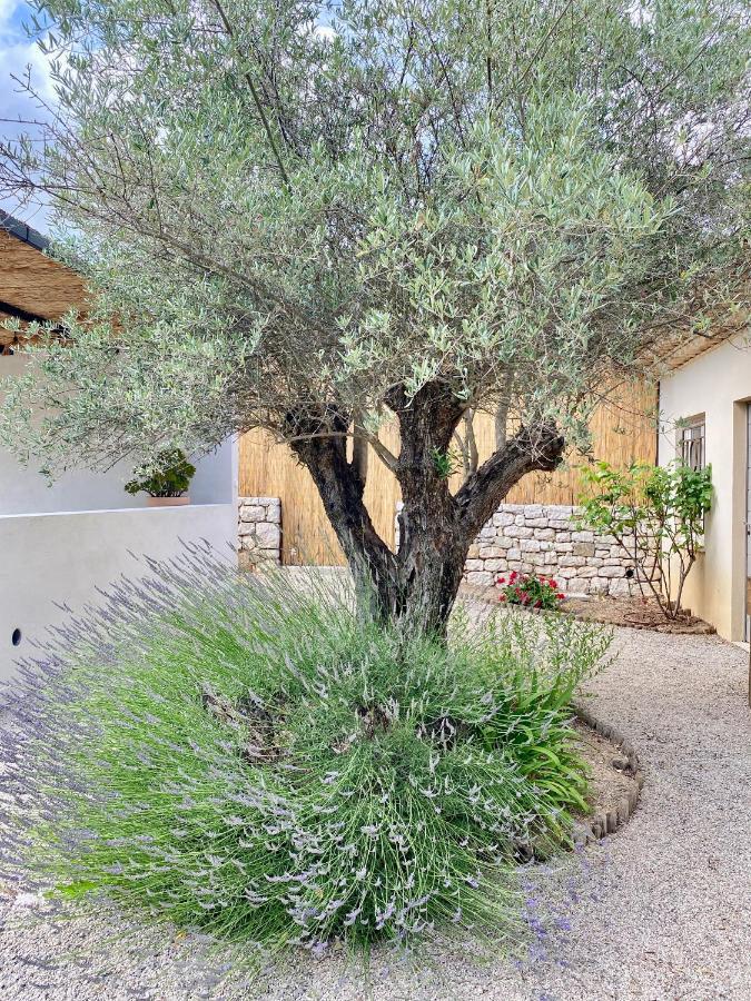 Apartamento Le Cabanon Valbonne Exterior foto